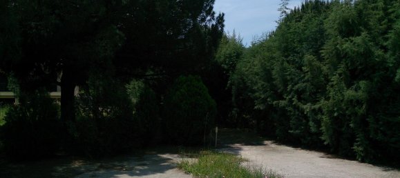 3 Schlafzimmer Property in Chalkidiki, Greece, Nr. 7866 11