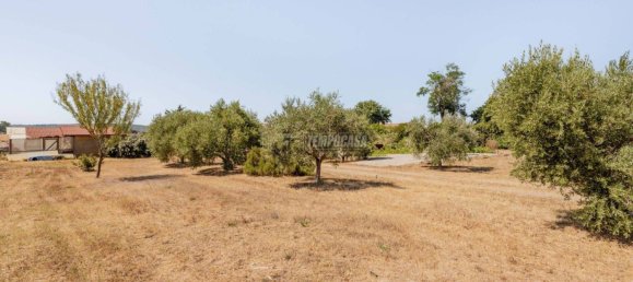 2 bedrooms Villa in Tarquinia, Italy No. 220608 23