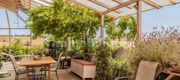 2 bedrooms Villa in Tarquinia, Italy No. 220608 19