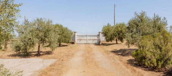 2 bedrooms Villa in Tarquinia, Italy No. 220608 21