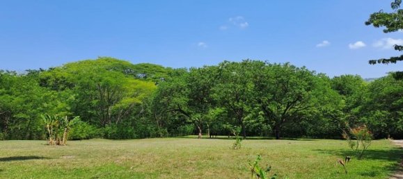 Дом с 4 спальнями в Никоя, Коста-Рика № 451 3