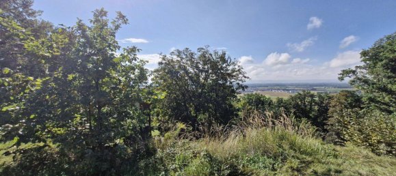 Grundstück in Feldkirchen an der Donau, Austria 1093m², Nr. 251065 4