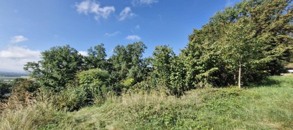 Grundstück in Feldkirchen an der Donau, Austria 1093m², Nr. 251065 8