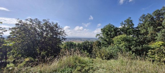 Grundstück in Feldkirchen an der Donau, Austria 1093m², Nr. 251065 10