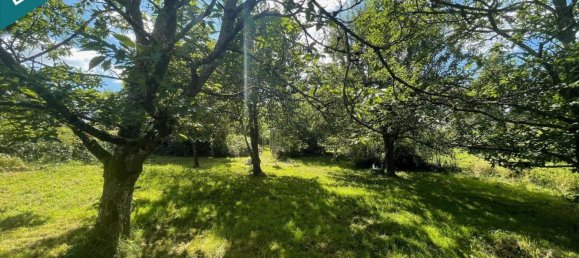 4 غرف نوم منزل في Willerwald, France رقم 154502 25