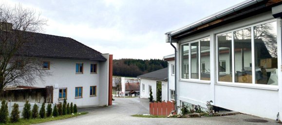 1500m² Building in Pischelsdorf am Kulm, Austria No. 15116 8