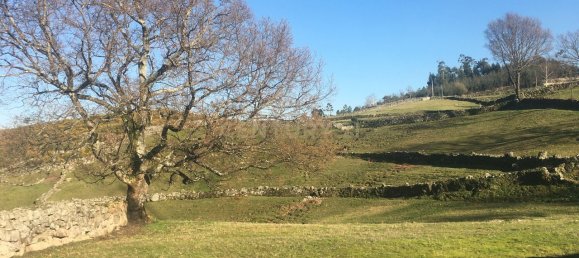 2 غرف نوم منزل في Vieira do Minho, Portugal رقم 42970 63