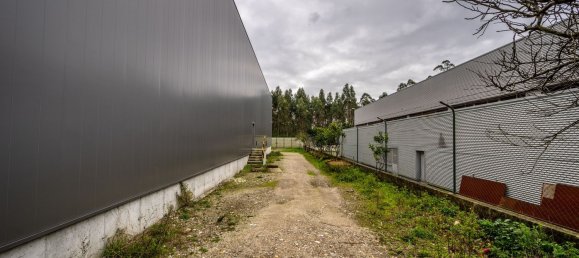 1753m² Warehouse in Esposende, Portugal No. 13723 15