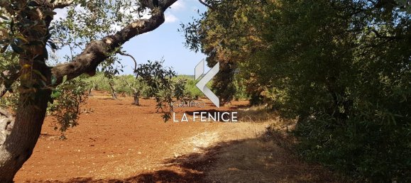 Studio à Alberobello, Italy No. 102322 3