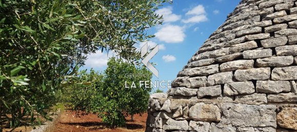 Studio à Alberobello, Italy No. 102322 7