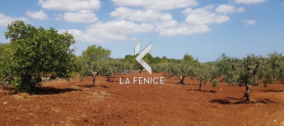 Studio à Alberobello, Italy No. 102322 2