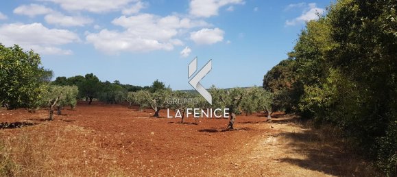 Studio à Alberobello, Italy No. 102322 5