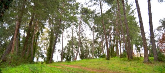 10000m² Hotel in Corfu, Greece No. 6798 14