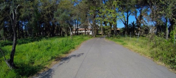 10000m² Hotel in Corfu, Greece No. 6798 13