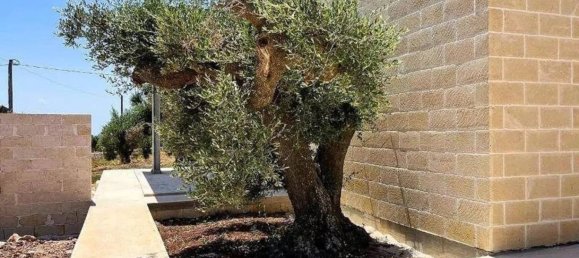 4 bedrooms Villa in Ostuni, Italy No. 348108 7