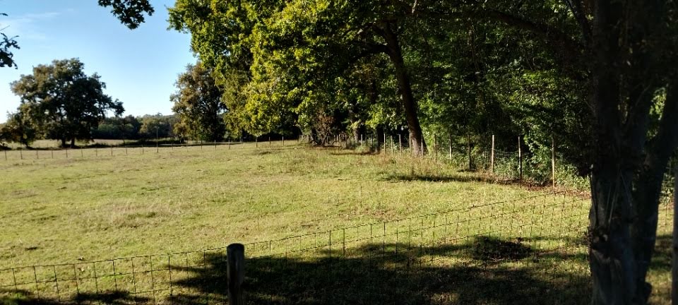 900m² Land in Portets, France No. 99140