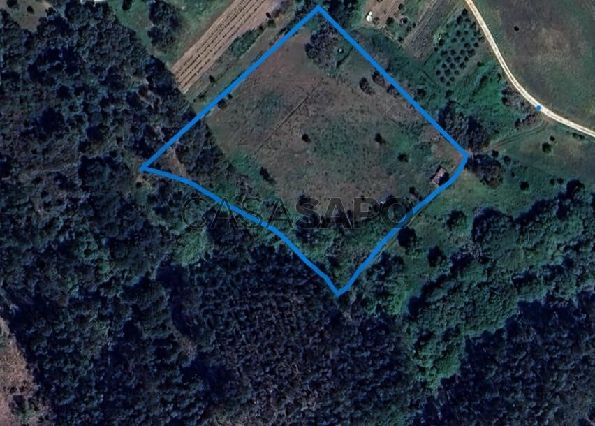 Grundstück in Tabua, Portugal 3300m², Nr. 225807