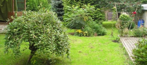 9-salle Maison de ville à Mittelsachsen, Germany No. 148289 5