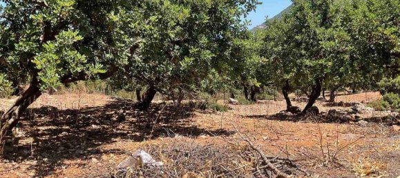  فندق في Gazi, Greece 18000متر مربع رقم 3596 8