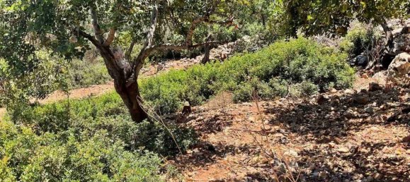  فندق في Gazi, Greece 18000متر مربع رقم 3596 5