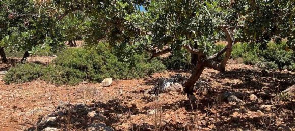  فندق في Gazi, Greece 18000متر مربع رقم 3596 7