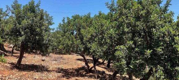  فندق في Gazi, Greece 18000متر مربع رقم 3596 4