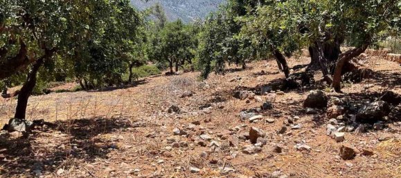  فندق في Gazi, Greece 18000متر مربع رقم 3596 6