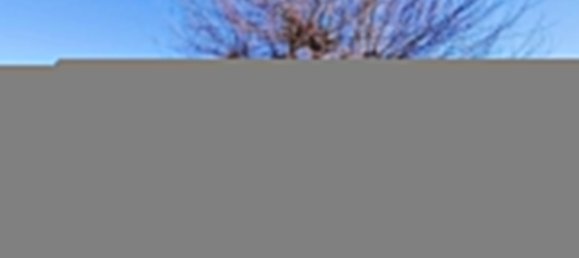 3 bedrooms Villa in Ameglia, Italy No. 171748 5