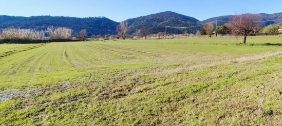 3 bedrooms Villa in Ameglia, Italy No. 171748 29