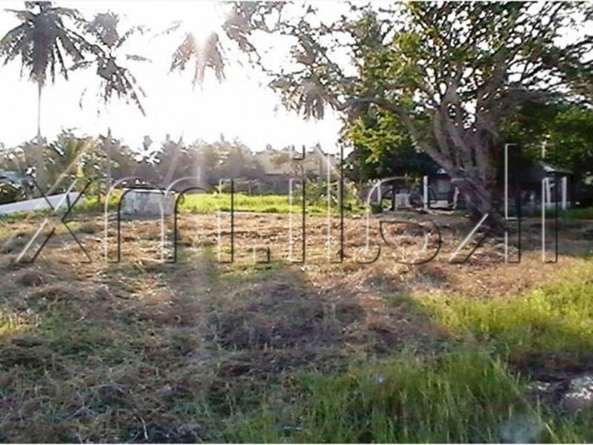 Земельный участок в Веракрус, Мексика № 204998