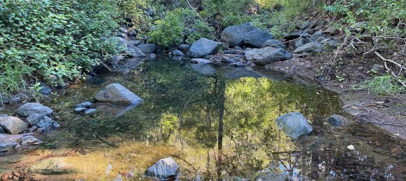  منزل في Ravensbourne, Australia رقم 846 13