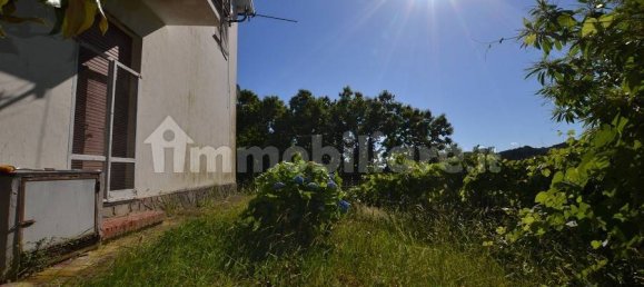 5 غرف نوم فيلا في Cogorno, Italy رقم 123878 17