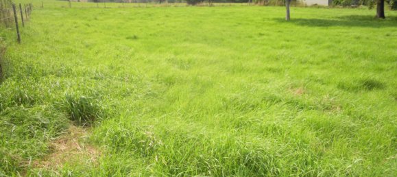  Land in Clavy-Warby, France No. 272663 2