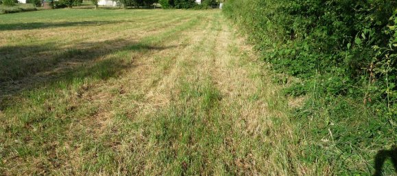 Grundstück in Aveyron, France, Nr. 316122 2