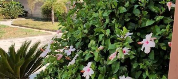 4-Zimmer Wohnung in Syracuse, Italy, Nr. 250567 2