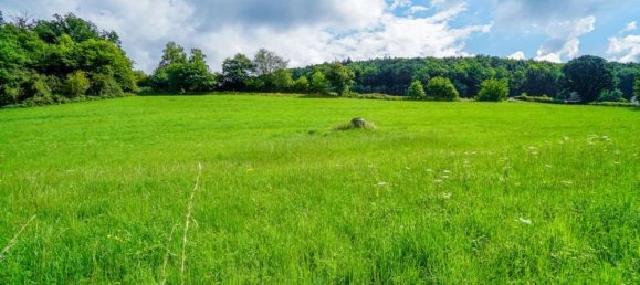 Дом с 6 комнатами в Бергштрасе, Германия № 224967 6