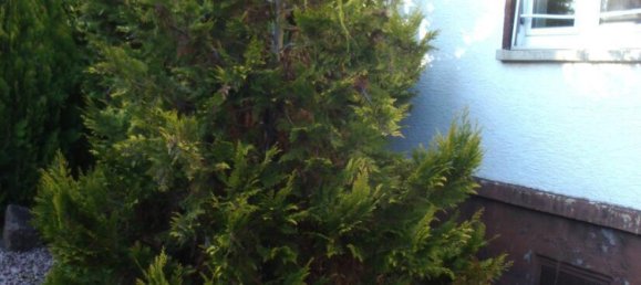 8-salle Maison de ville à Rhein-Neckar-Kreis, Germany No. 1294 10