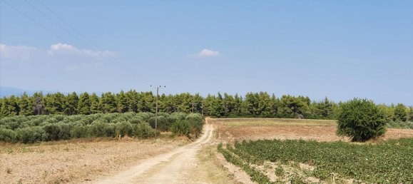 30000m² Hotel in Chalkidiki, Greece No. 4119 4