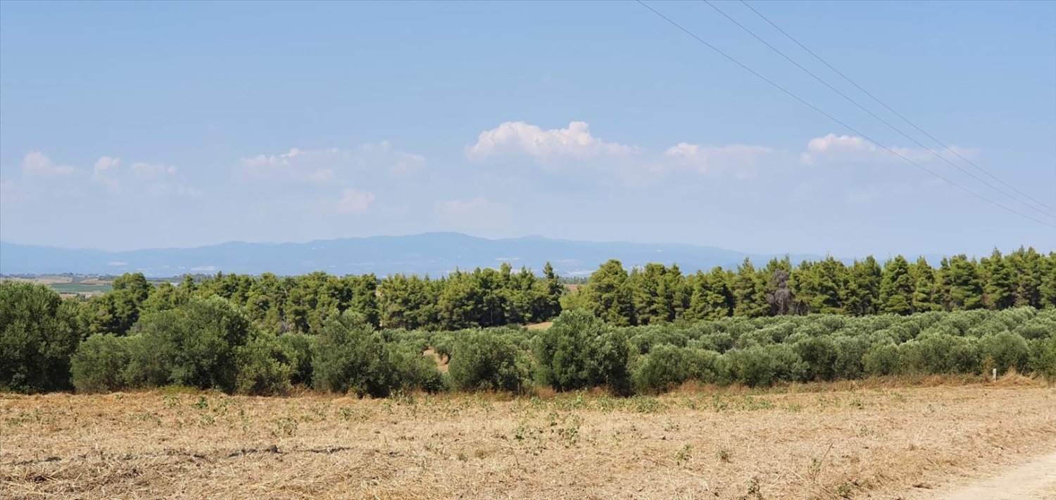  فندق في Chalkidiki, Greece 30000متر مربع رقم 4119