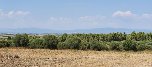 فندق في Chalkidiki, Greece 30000متر مربع رقم 4119 2