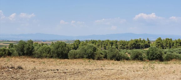 30000m² Hotel in Chalkidiki, Greece No. 4119 2