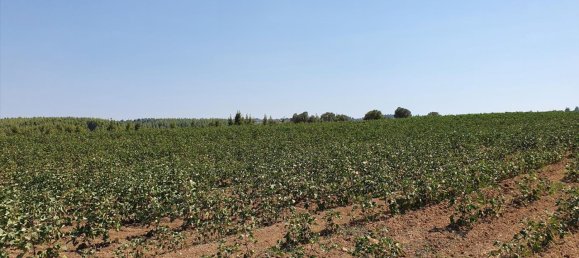 فندق في Chalkidiki, Greece 30000متر مربع رقم 4119 5