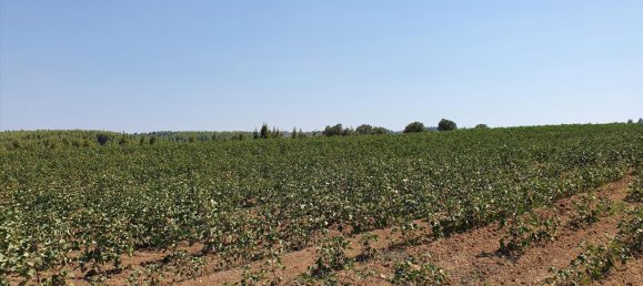 30000m² Hotel in Chalkidiki, Greece No. 4119 5