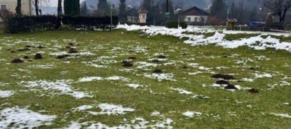 Grundstück in Sittersdorf, Austria 1086m², Nr. 236591 4