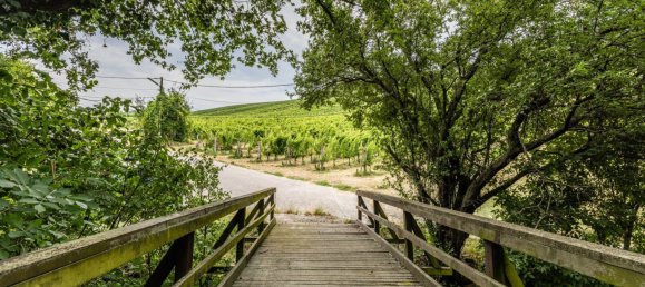  Land in Dobling, Austria No. 135905 6