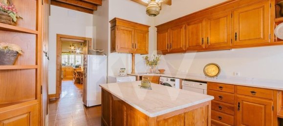 9 bedrooms Villa in Benavente, Portugal No. 106236 3