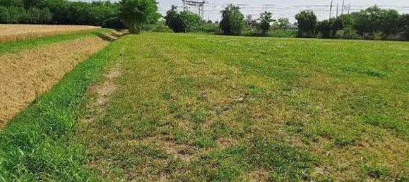 14 bedrooms Villa in Spresiano, Italy No. 352934 13