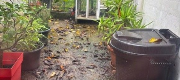 4 bedrooms House in Rivery, France No. 215949 4