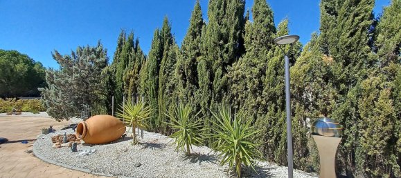 5 غرف نوم منزل في Pinoso, Spain رقم 84014 15