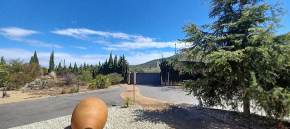 5 غرف نوم منزل في Pinoso, Spain رقم 84014 20